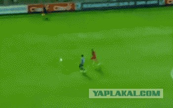 Подборка GIF