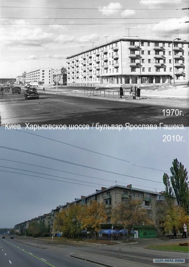 Как изменились мегаполисы с 20 века