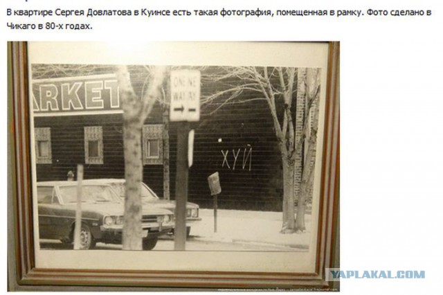 Картинки с утра.
