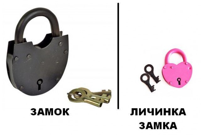 В разрезе