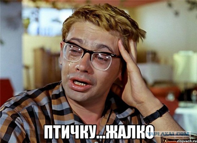 Охота на фазана.