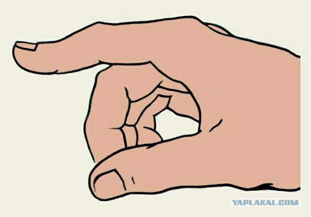 Борзые щенки