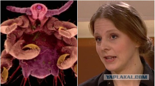 Из Швеции сообщают