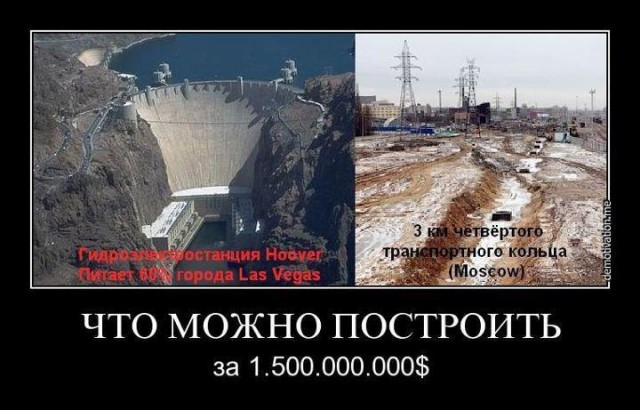 Предвыборный юмор по-украински (коте одобряет)