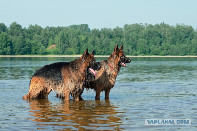 Игры настоящий пацанов