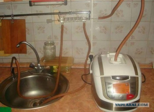Холостяк и мультиварка