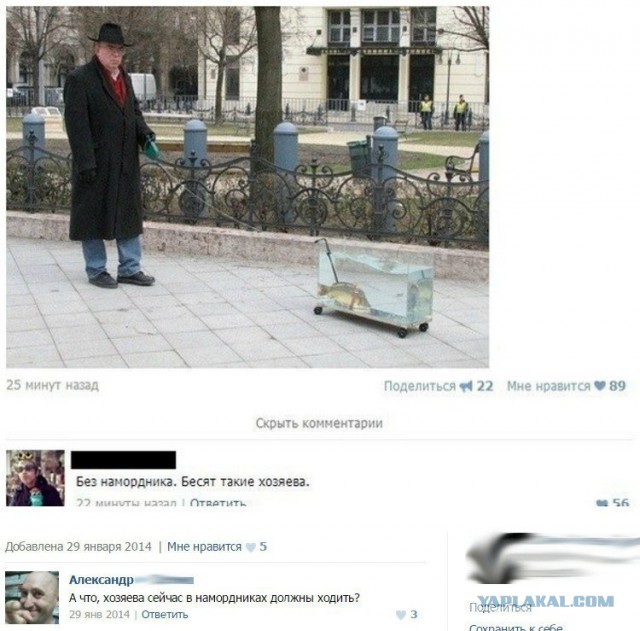 Немного позитива