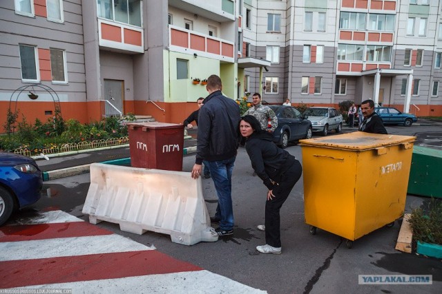 Они защитили свой двор!