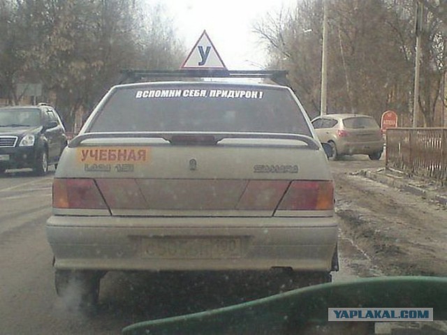 Что обычно водители пишут на своих автомобилях?