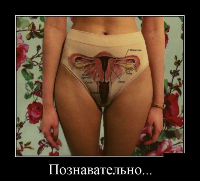 Знаете ли вы, что?
