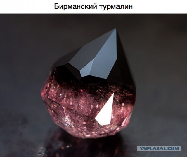 Подборка интересных и веселых картинок