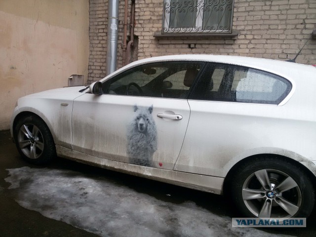 Пучок разных фотографий с телефона.