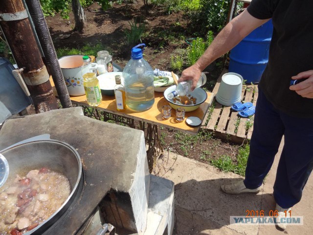 Этаниплов!