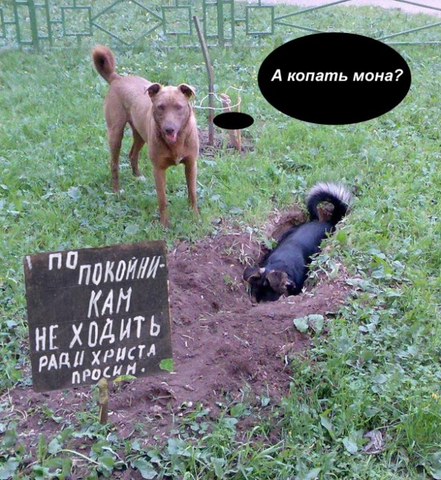 Фотожаба: да здесь где-то недалеко!