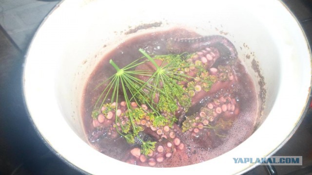 Аццкая кухня 2  (кулинарный адъ)
