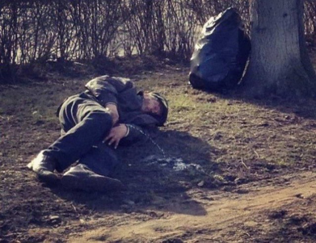 Подборка безудержного веселья