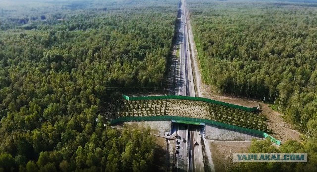 24 экодука со всего мира