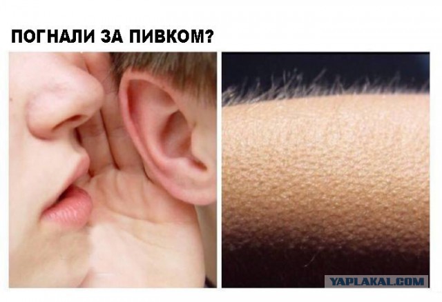 Жириновский предложил приравнять потребление алкоголя и курение к наркомании