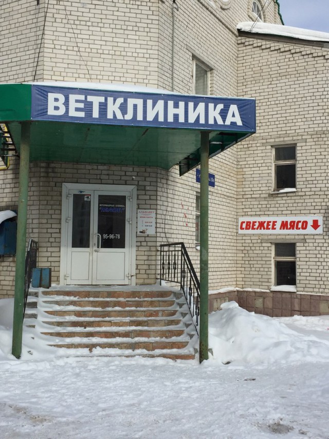 Подборка безудержного веселья