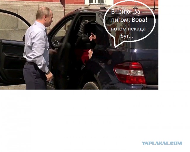 Песков прокомментировал появление неизвестного спутника с Путиным