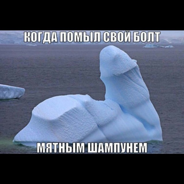 Подборка интересных и веселых картинок