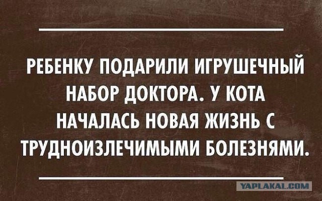 Смешные комментарии из социальных сетей 04.08.2017