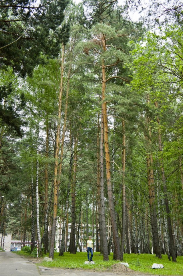 Недавно купил фотоаппарат! Хочу похвастаться!