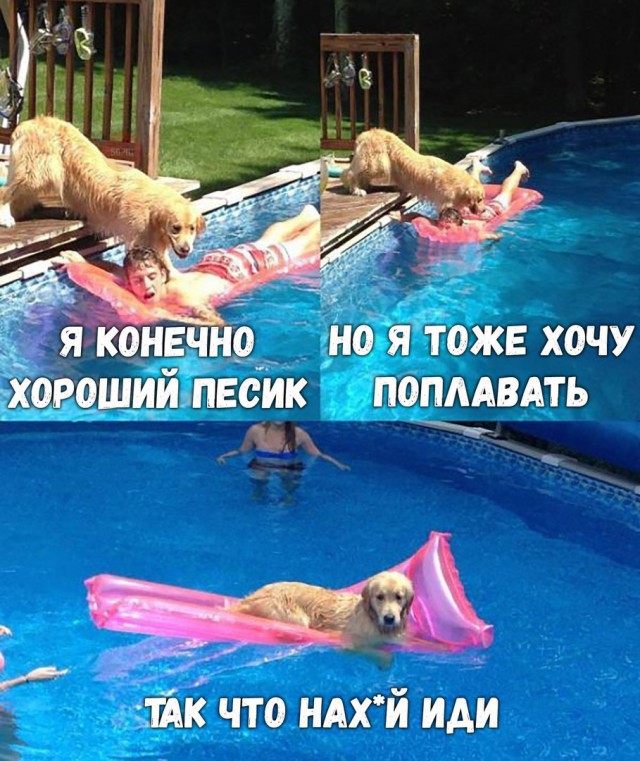 Немного деграданса