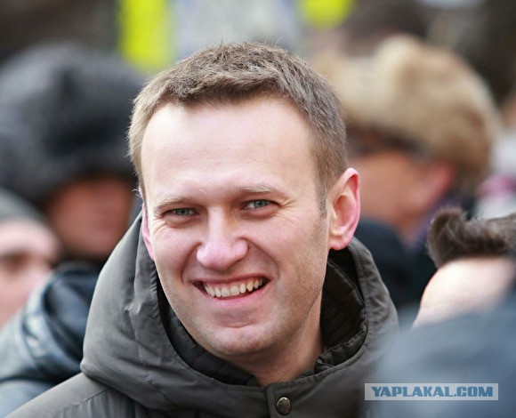 Юрист Илья Ремесло запустил разоблачительный сайт о Навальном