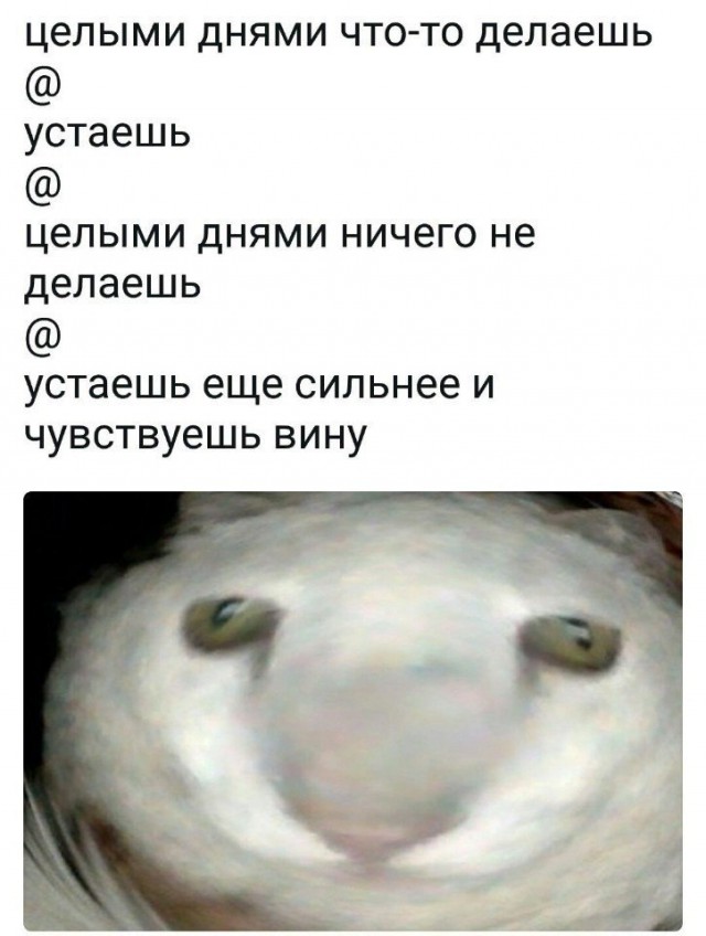 Всякая всячина