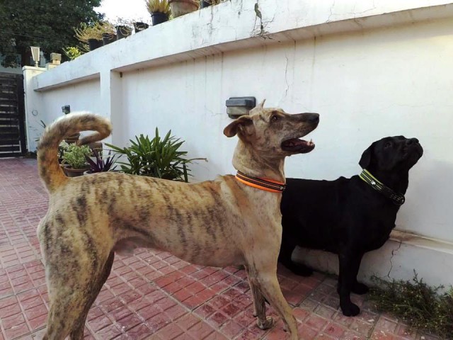 Полтора месяца безделья или "Первое семейное бюджетное путешествие"