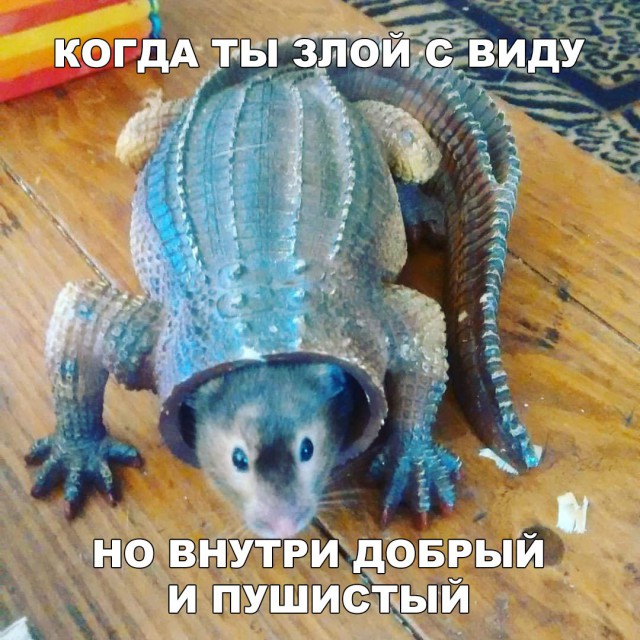 Нестандартный юмор