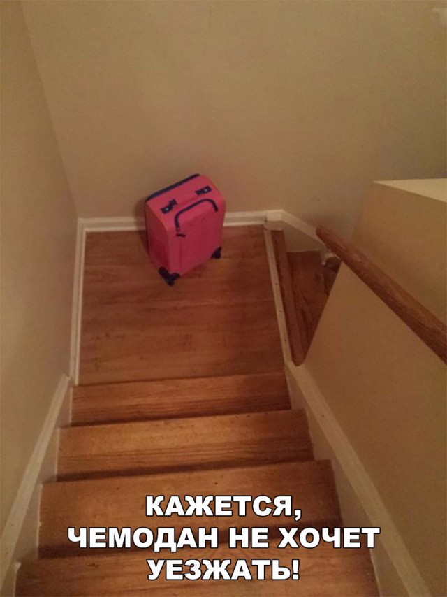 Нестандартный юмор