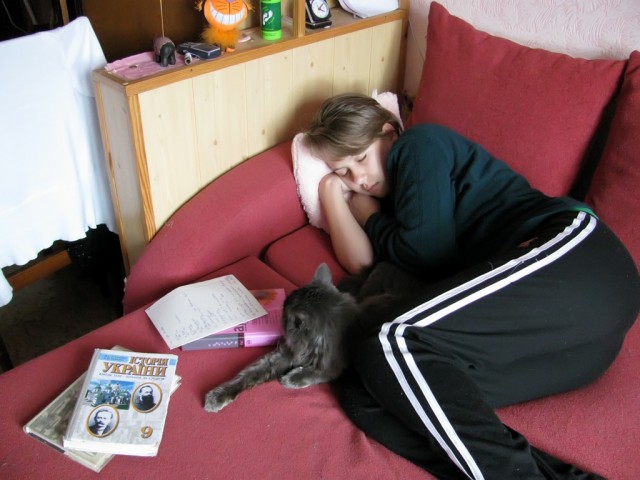 Котовторник 1.02.2011
