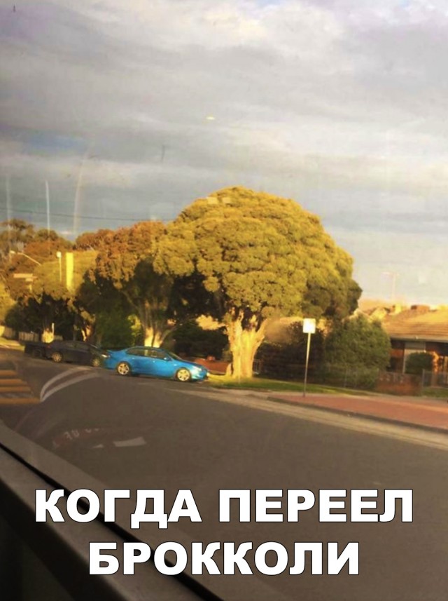 Нестандартный юмор