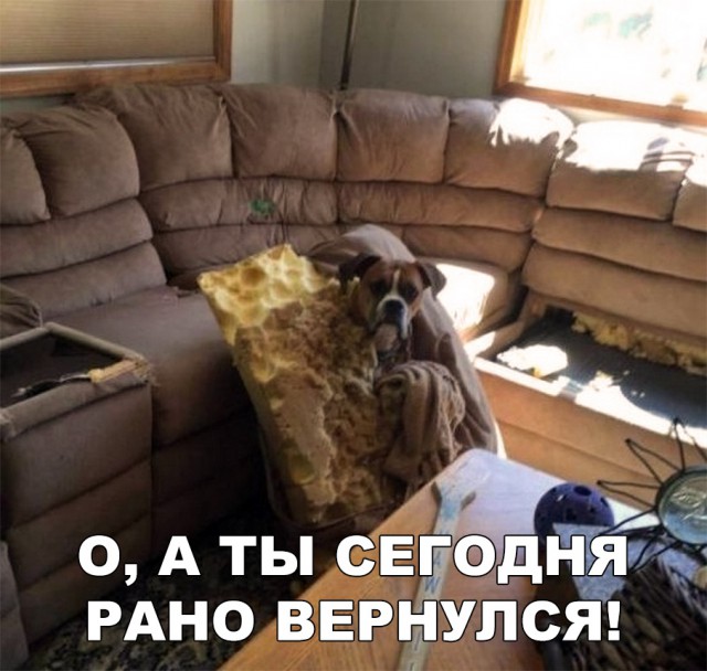 Нестандартный юмор