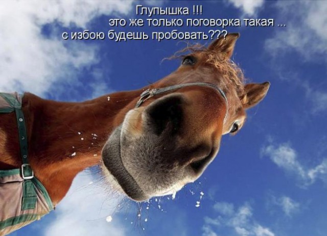 В Москве девушка избила водителя "Яндекс-такси" и угнала его машину. Отставить коня и горящую избу, тут покруче!