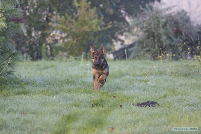 Слушаю вас внимательно!