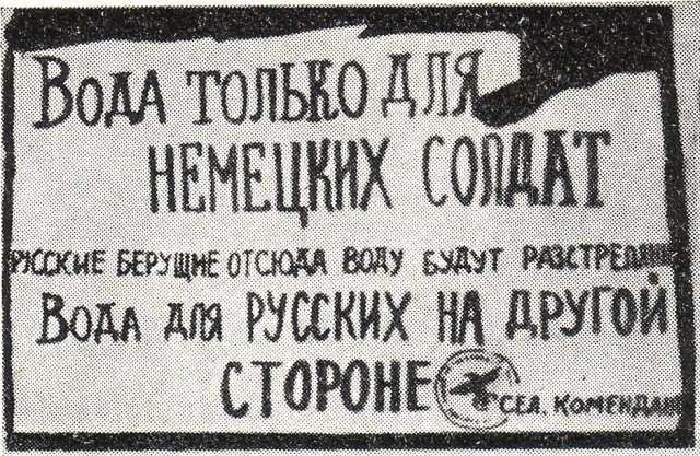 «Неправильный» валежник