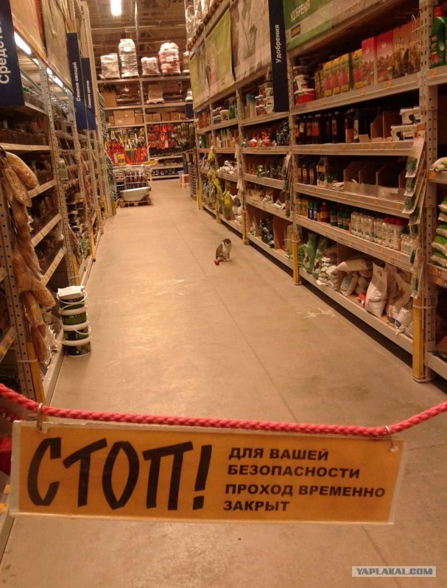 Ты туда не ходи!