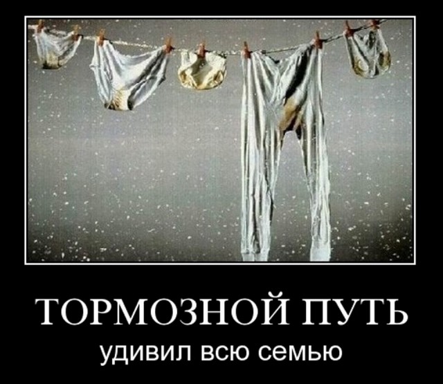 Ремни безопасности