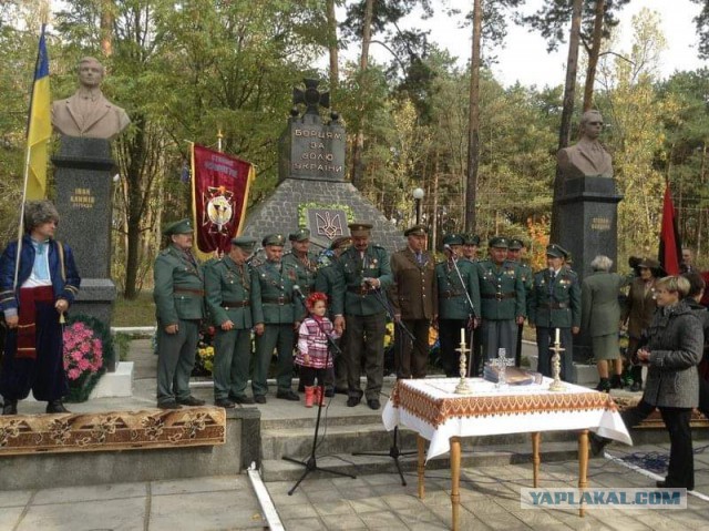 На Украине приняли закон об исключительности украинского языка