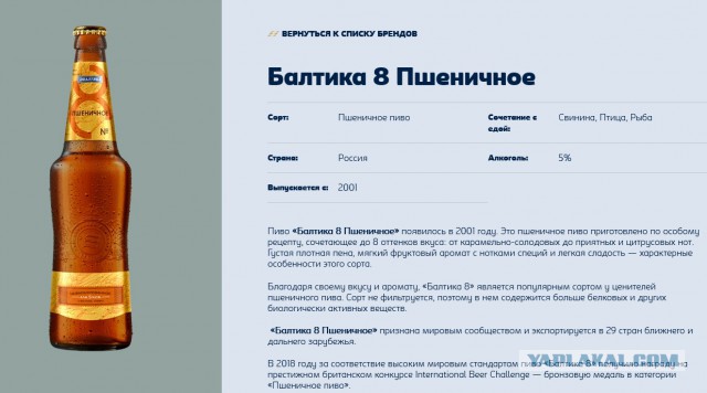 Применим физику в постели или белка и стрелка. Картинки