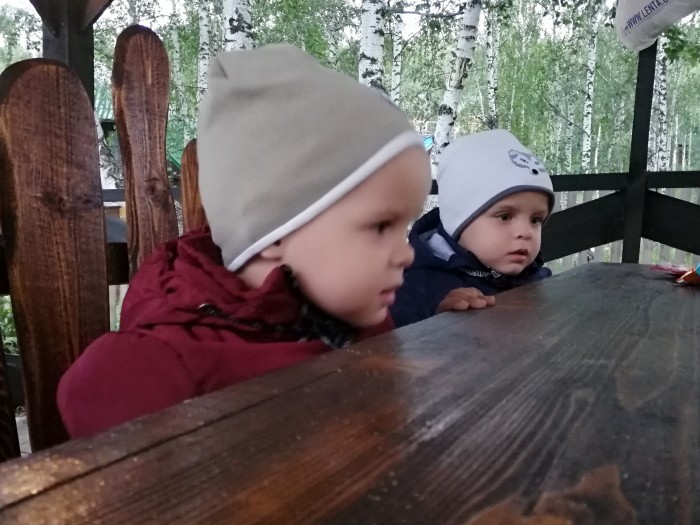 Я люблю своего близнеца...