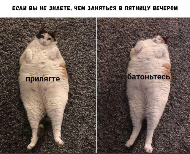 Картинки с надписями, истории и анекдоты 21.11.19
