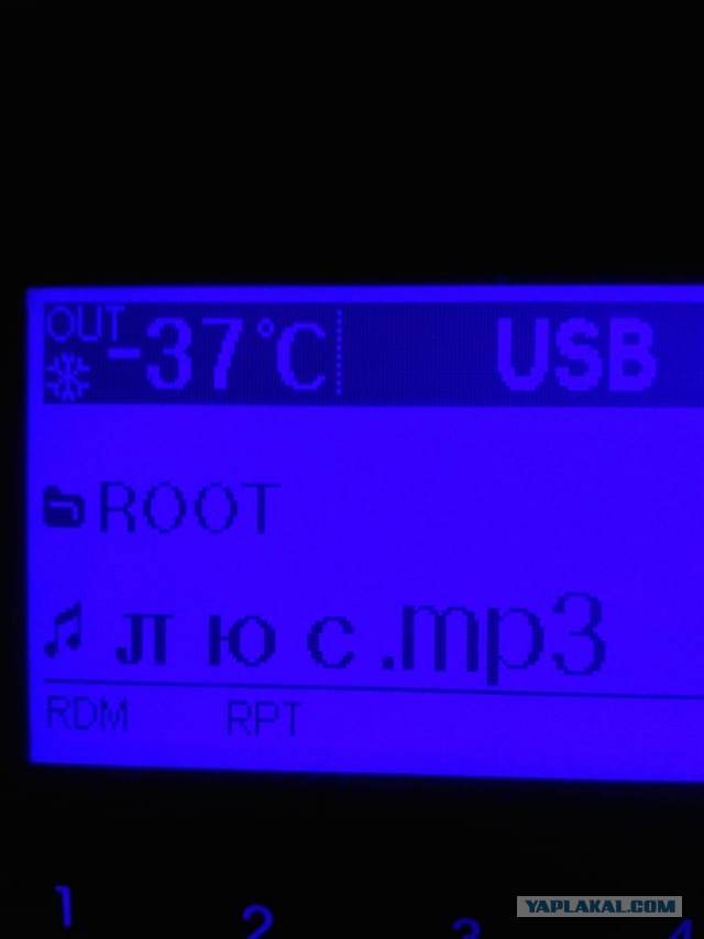 Ну, за Иордань!