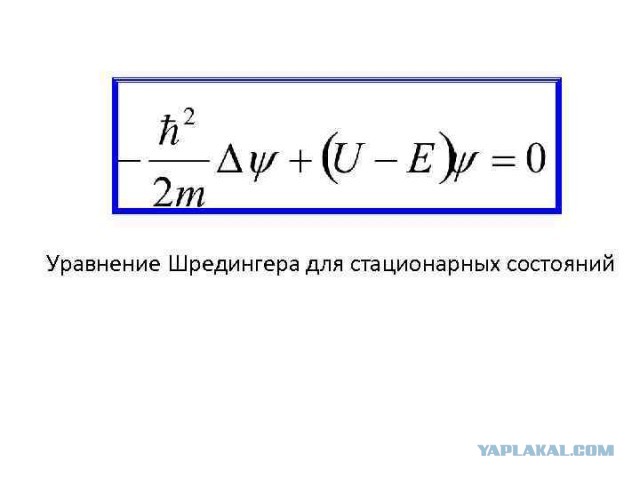 Оказывается, полученное высшее образование имеет срок годности