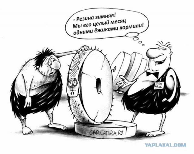 "Липушка плус шиповник"