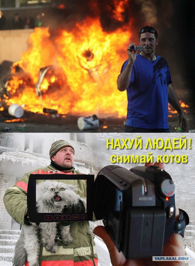 Фотожаба: Что же его так заинтересовало?