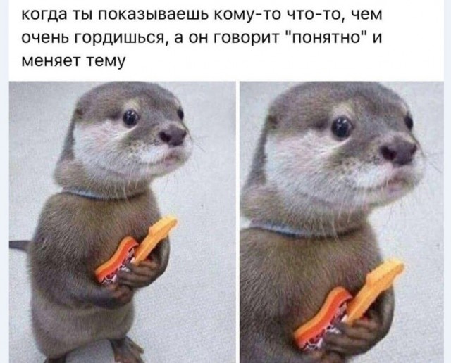 Картинки и мемы для настроения 011